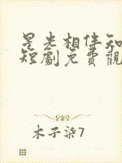 星光相伴知我意短剧免费观看全集