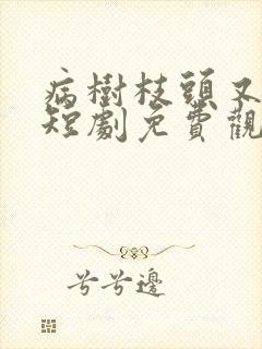 病树枝头又逢春短剧免费观看全集封面