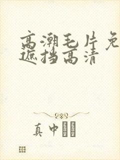 高潮毛片免费无遮挡高清