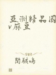 亚洲精品国产av麻豆