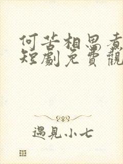 何苦相思煮余年短剧免费观看合集