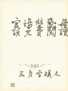 官场双飞母女小说免费阅读