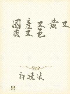 国产又黄又潮又爽又色