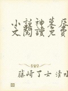 小说神墓辰东全文阅读免费