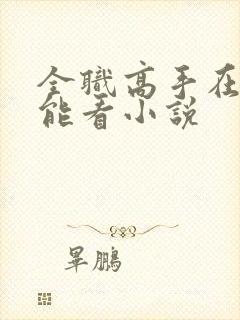 全职高手在哪里能看小说