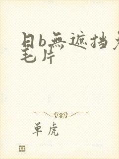 日b无遮挡免费毛片