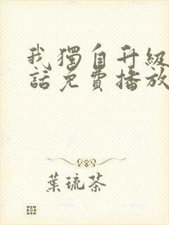 我独自升级普通话免费播放