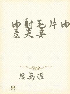 内射毛片内射国产夫妻