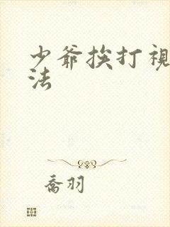 少爷挨打视频家法封面