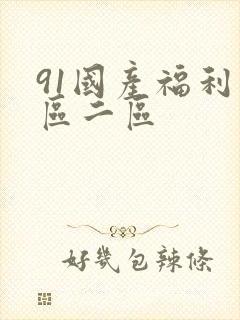 91国产福利一区二区