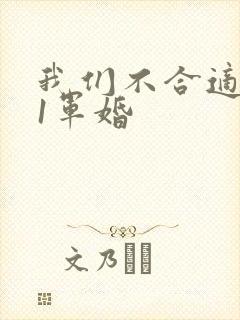我们不合适1v1军婚