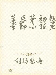 叶辰萧初然最新章节小说免费阅读