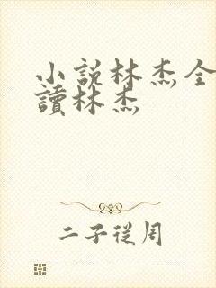 小说林杰全文阅读林杰
