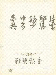 梦中的那片海一共多少集电视剧