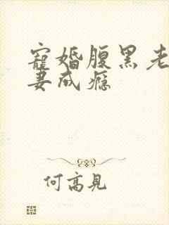 宠婚腹黑老公诱妻成瘾