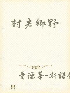 村光乡野封面