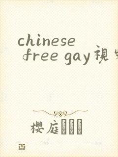 chinese free gay视频封面