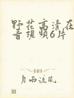 野花高清在线观看视频6片