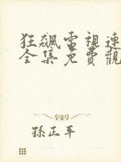 狂飙电视连续剧全集免费观看封面