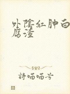 外阴红肿白带豆腐渣封面