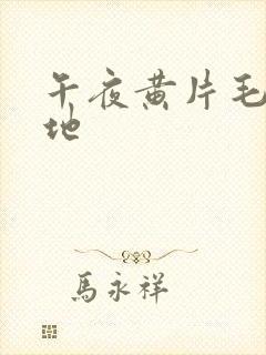 午夜黄片毛片基地