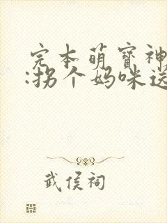 完本萌宝神助攻:拐个妈咪送爹地