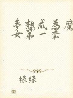 梦想成为魔法少女第一季