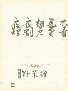 夜夜相见不识君短剧免费看第一集封面