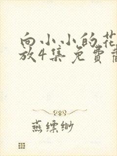 向小小的花蕾绽放4集免费观看封面