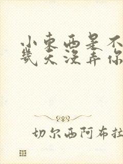 小东西是不是好几天没弄你了