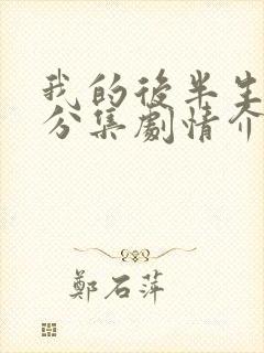 我的后半生剧情分集剧情介绍大结局免费观看