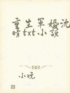 重生军婚沈毅李晴txt小说