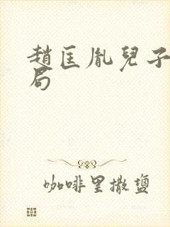 赵匡胤儿子的结局封面