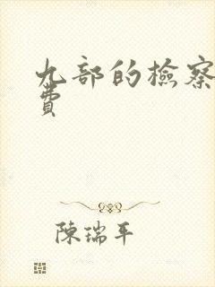 九部的检察官免费