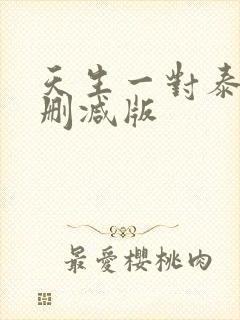 天生一对泰剧未删减版
