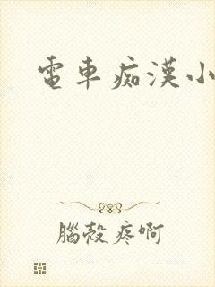 电车痴汉小说封面