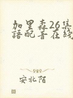 加里森26集国语配音在线观看免费