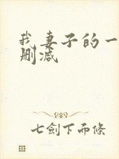 我妻子的一切未删减