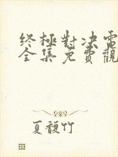 终极对决电视剧全集免费观看终极封面