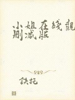 小姐在线观看无删减版