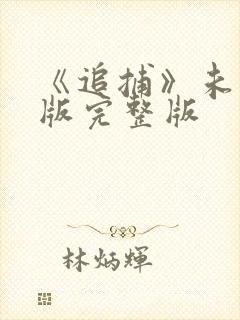 《追捕》未删减版完整版