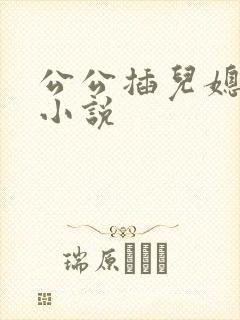 公公插儿媳妇逼小说封面