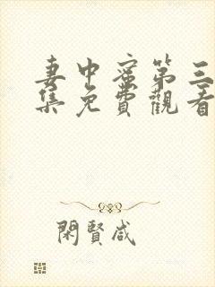 妻中蜜第三季全集免费观看