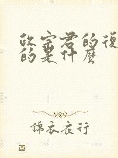 政宗君的复仇讲的是什么