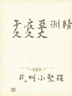 午夜亚洲精品久久久大