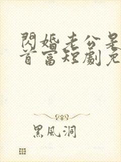 闪婚老公是千亿首富短剧免费观看