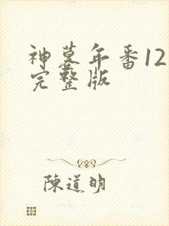 神墓年番12集完整版
