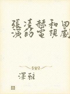 张凌赫和田曦薇演的电视剧封面