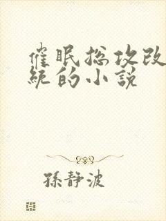 催眠总攻改造系统的小说封面