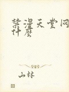 禁漫天堂网站是什么